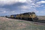 UP 3602 near Laramie